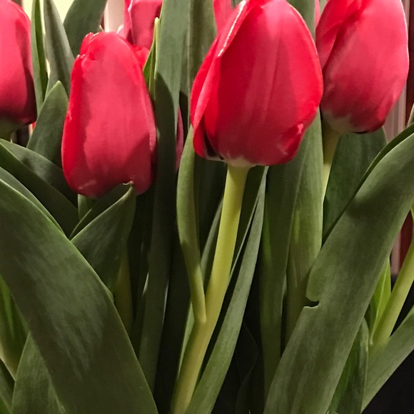 Meet the Posher Other - Meet your Posher, Sunghee